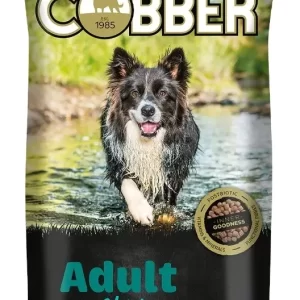 Cobber - Adult with Chicken