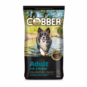Cobber - Adult with Chicken