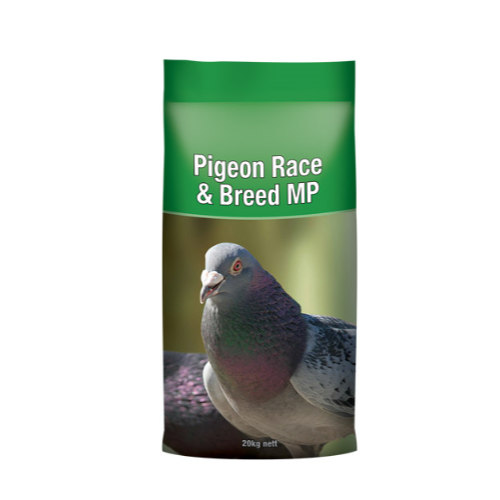 natural pigeon corn supplies