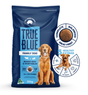TRUE BLUE FAMILY DOG