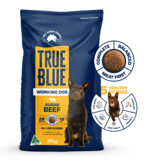 TRUE BLUE WORKING DOG 20KG