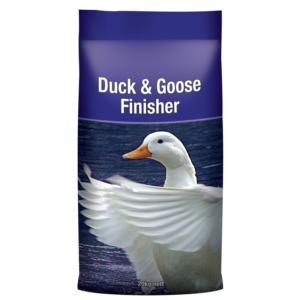 LAUCKE DUCK AND GOOSE FINISHER