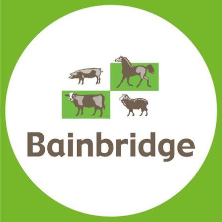 Bainbridge
